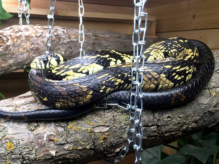 img_9519-e1523985173234